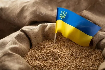 Фото ілюстративне із сайту Главком