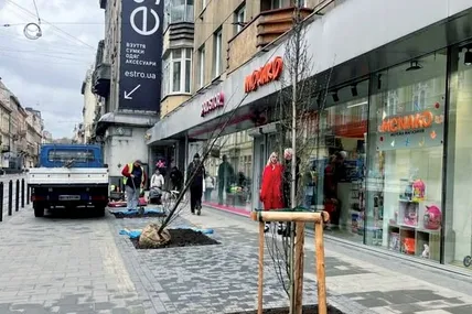 Фото ЛМР
