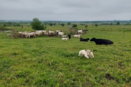 Фото Суспільне Львів