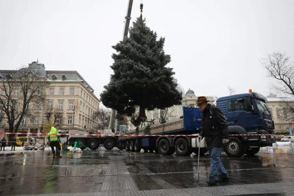 На площі перед Оперним театром почали встановлювати головну новорічну ялинку Львова. Фото Романа Балука