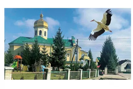 Колаж Ігоря НЕСТЮКА.