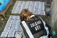 Спроба заробити на втечу за кордон: на Львівщині засудили організатора переправи
