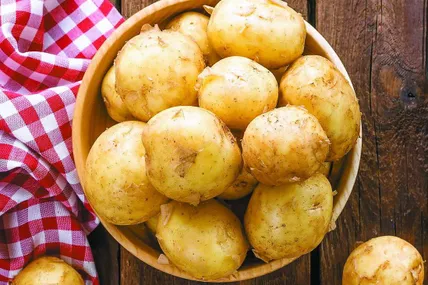 Картопля