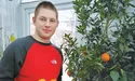 Ананаси, лимони, авокадо, манго...