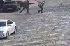 У Львові затримали 44-річного чоловіка, який вистрілив у перехожого