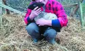Там овечки окотились, а ягнички народились…