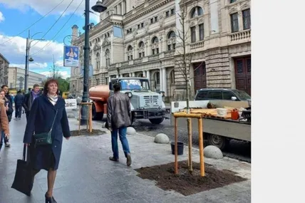 Найбільше “іменних” висадили торік уздовж проспекту Свободи. Фото з відкритих джерел