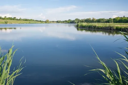 01.09.2026, 12:32				


									Трактор перекинувся у ставок на Львівщині: загинув 52-річний чоловік							

										У селі Кунин Львівського району під час обкошування трави трактор перекинувся у водойму. Водій отримав смертельні травми