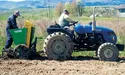 Франкове поле забезпечить воїнів картоплею