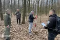 ​На Тернопільщині незаконно вирубали дерева на 2 млн грн: ДБР оголосило підозру двом посадовцям лісгоспу