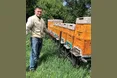 Від музиканта до пасічника
