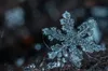 Погода 14 грудня 2022 року буде морозною
