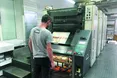 Медведчук зробив собі ведмежу послугу