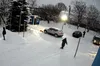 Жорстоке поводження з твариною під Львовом: водій позашляховика двічі переїхав собаку