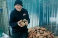 Алтинівський картопляр Василь Беспалий
