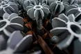 В Україні працюють над модифікацією ракети для комплексу «Нептун»