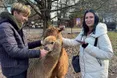 «За пів року у нас народилися троє оленят»