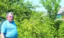 Ревінь, румбарбар, барбари…