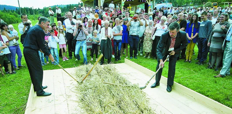 Молотять сніп із щойно скошеного жита.