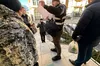 Нацполіція провела обшуки в офісі ІТ-компанії MacPaw. Федоров прокоментував