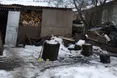 На Львівщині повідомили про підозру чоловікові за жорстоке вбивство кота
