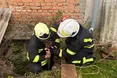 На Львівщині рятувальники за день двічі врятували собак