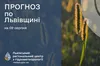 Без опадів та туман: прогноз погоди на Львівщині на 9 серпня