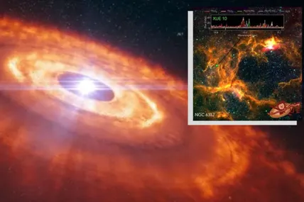 Телескоп James Webb виявив незвичний протопланетний диск. Фото: Space.com