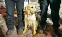 Урятував з-під завалів п’ять людських життів