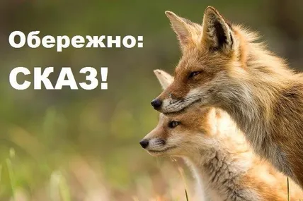 Фото: Рава-Руська міська рада