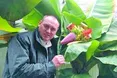 Тропічні фрукти — на власному подвір'ї