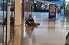 У торговому центрі Сіднея чоловік вбив ножем шість людей
