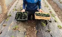 Мельники розпочали весняний сезон