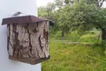 Шпаківню заселила... синичка