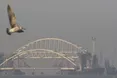 Росія відмовилася від участі у слуханнях трибуналу ООН щодо українських моряків