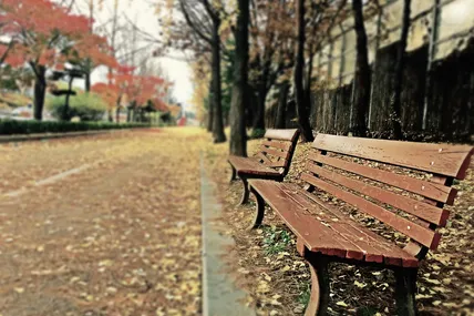 Фото ілюстративне із сайту Pexels