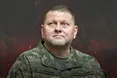 Зеленський звільнить Залужного ще цього тижня, — ЗМІ