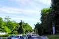 Літо у... заторах