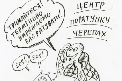 23 травня - День черепахи