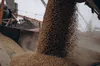 Попри заяви росії зернова ініціатива повноцінно не працює, — Reuters