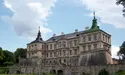 Біля колишніх конюшень у Підгірцях встановили пам’ятник Шевченкові