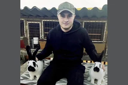 Кролики з нетерпінням чекають на появу свого господаря, ідуть йому до рук