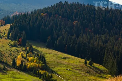 Фото із сайту Gorgany PRO