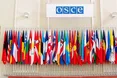 В ОБСЄ схвалили резолюцію щодо мілітаризації Росією Криму, Чорного й Азовського морів