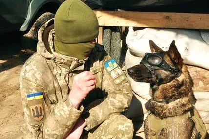 Як і воїни, Бакс носить відповідне екіпірування. Фото пресслужби 123-ї бригади тероборони