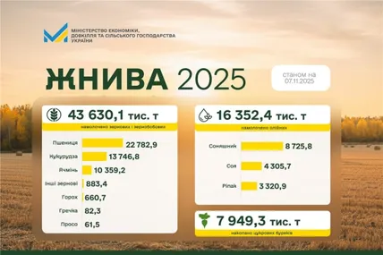 В Україні обмолочено 81% площ зернових: аграрії зібрали понад 43,6 млн тонн урожаю