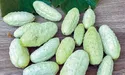 Білі огірки для екзотики і смачних салатів