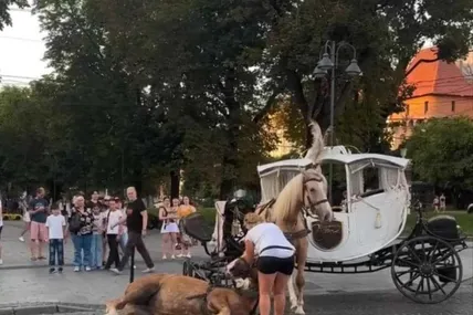 Фото з відкритих джерел