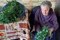 У 93 роки баба Юля сплела барвінковий вінець — на весілля внучці Юлі