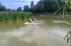 У львівських парках розпочали вапнування водойм для підтримки екосистем